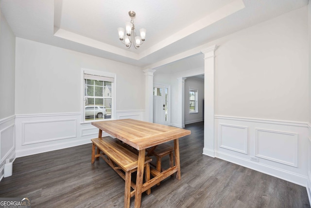 9929 Long Leaf Pine Dr, Midland, GA 31820 - dining room featuring ornate columns, a raised ceiling, a chandelier, wainscoting, and dark wood finished floors
