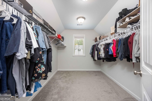 9929 Long Leaf Pine Dr, Midland, GA 31820 - spacious closet featuring carpet and lofted ceiling