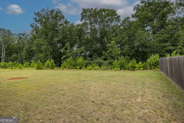 9929 Long Leaf Pine Dr, Midland, GA 31820 - view of yard