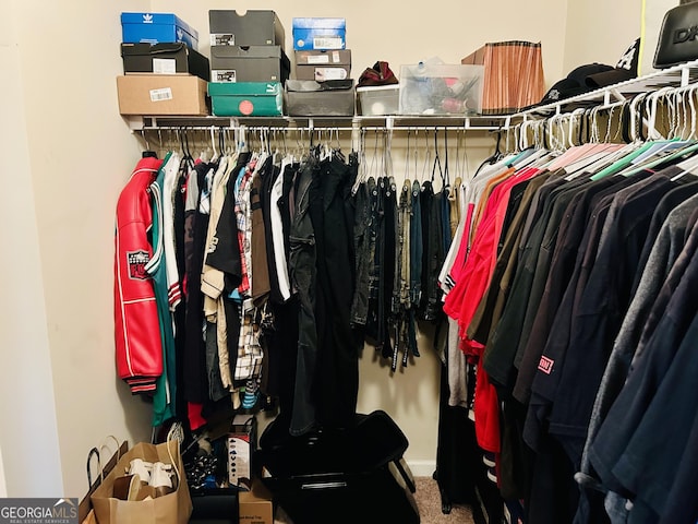 5848 Rex Ridge Loop, Rex, GA 30273 - walk in closet featuring carpet floors