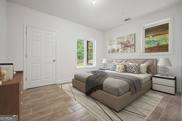 326 Seldom Seen Trl, Canton, GA 30115 - bedroom with multiple windows and light wood-style floors