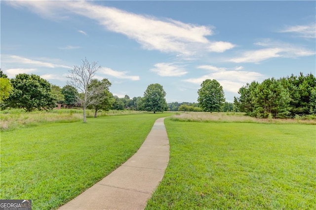 952 Moores Walk Ln, Suwanee, GA 30024 - view of green lawn