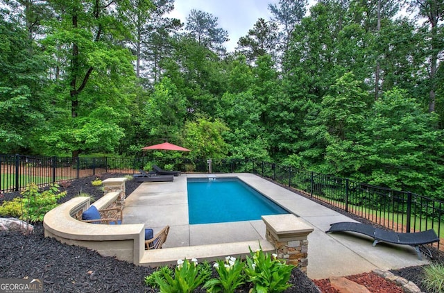 6095 Fords Rd NW, Acworth, GA 30101 - view of swimming pool featuring a fenced backyard and a patio area