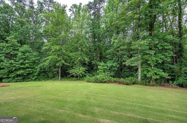6095 Fords Rd NW, Acworth, GA 30101 - view of green lawn with a forest view