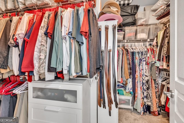 7891 Brass Lantern Dr, Flowery Branch, GA 30542 - view of spacious closet