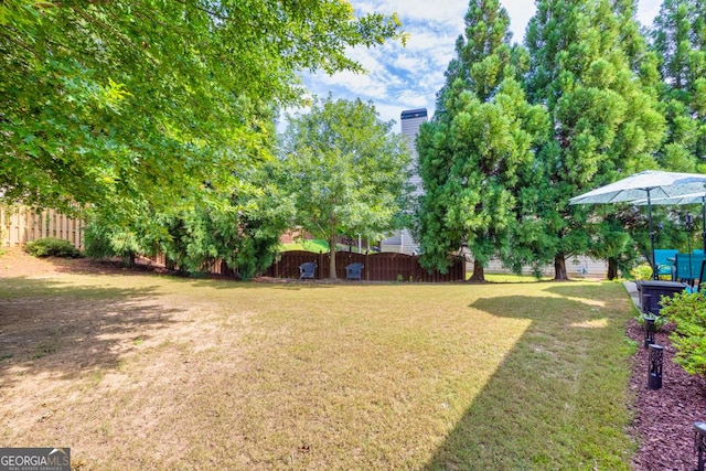 7891 Brass Lantern Dr, Flowery Branch, GA 30542 - view of yard