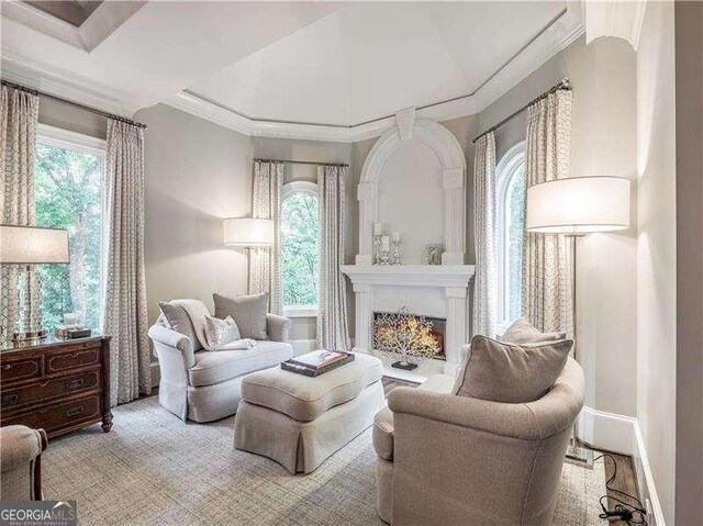 8957 Old Southwick Pass, Johns Creek, GA 30022 - living area featuring crown molding and a lit fireplace