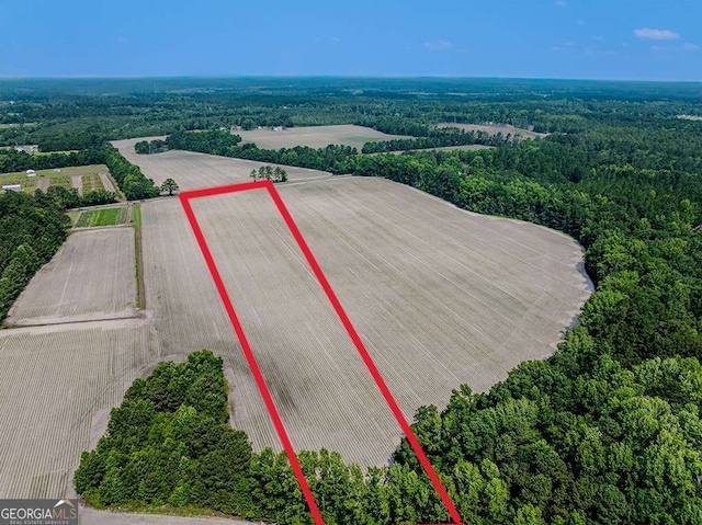 0 Ingram Rd, Springfield, GA 31329