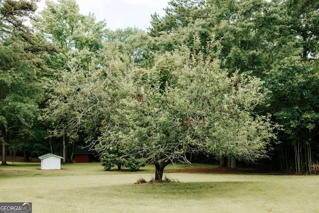 764 Sandy Cross Rd, Lexington, GA 30648 - view of green lawn featuring a storage shed