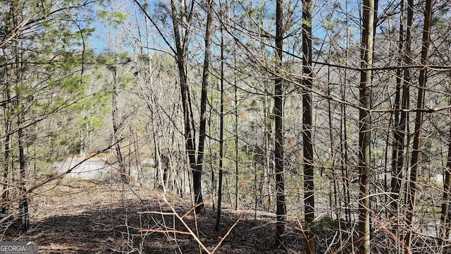 0 Saddleback Cir, Sky Valley, GA 30537