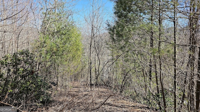 0 Saddleback Cir, Sky Valley, GA 30537