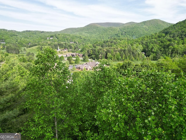 0 Saddleback Cir, Sky Valley, GA 30537