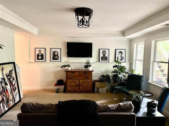 8525 Anchor On Lanier Ct, Gainesville, GA 30506 - living area featuring ornamental molding, a tray ceiling, carpet floors, and baseboards
