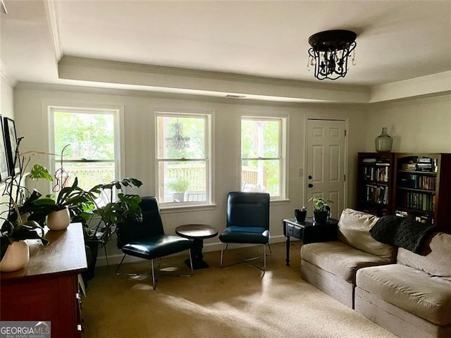 8525 Anchor On Lanier Ct, Gainesville, GA 30506 - living area featuring ornamental molding, healthy amount of natural light, carpet floors, a tray ceiling, and baseboards