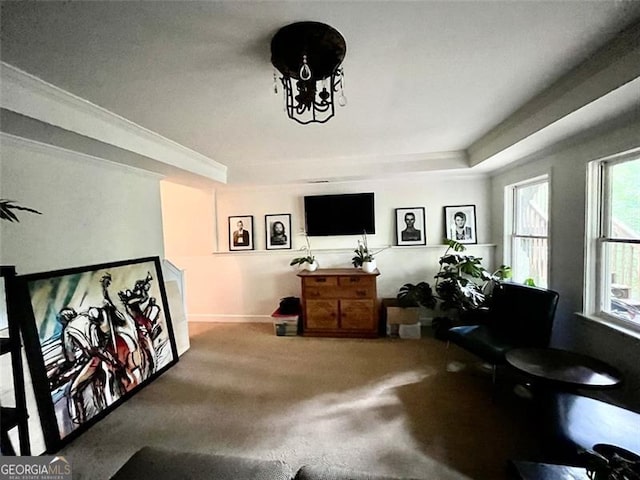 8525 Anchor On Lanier Ct, Gainesville, GA 30506 - sitting room with carpet floors, baseboards, and a raised ceiling