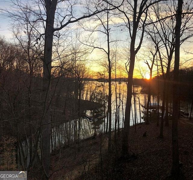 8525 Anchor On Lanier Ct, Gainesville, GA 30506 - water view