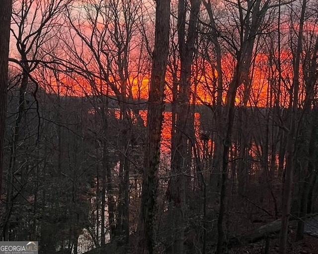 8525 Anchor On Lanier Ct, Gainesville, GA 30506 - water view with a heavily wooded area