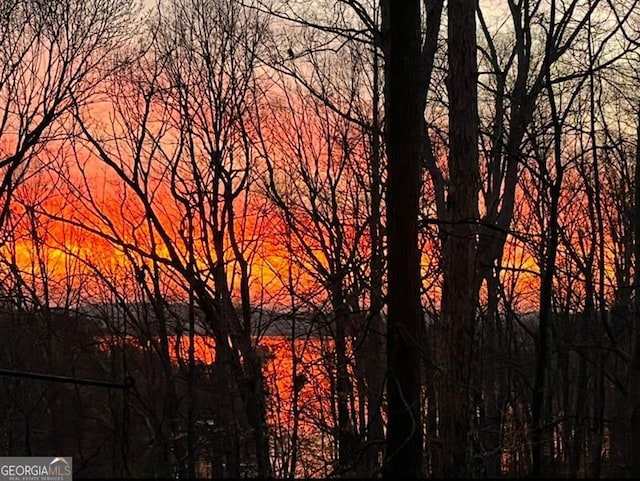 8525 Anchor On Lanier Ct, Gainesville, GA 30506 - water view