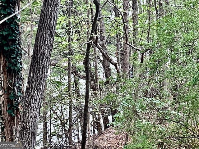 8525 Anchor On Lanier Ct, Gainesville, GA 30506 - view of tree filled area