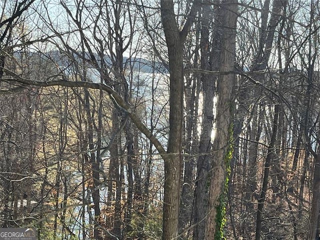 8525 Anchor On Lanier Ct, Gainesville, GA 30506 - water view featuring a heavily wooded area