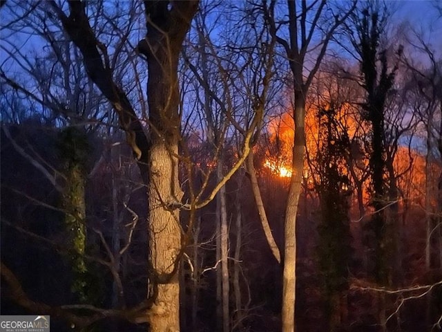 8525 Anchor On Lanier Ct, Gainesville, GA 30506 - view of nature at dusk