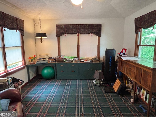 404 Windsor Way, Peachtree City, GA 30269 - game room with dark carpet and a textured ceiling