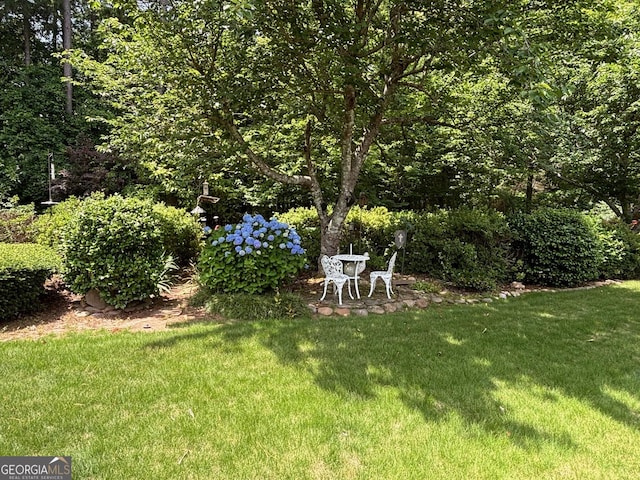 404 Windsor Way, Peachtree City, GA 30269 - view of green lawn