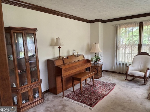 404 Windsor Way, Peachtree City, GA 30269 - living area featuring carpet flooring, a textured ceiling, ornamental molding, and baseboards