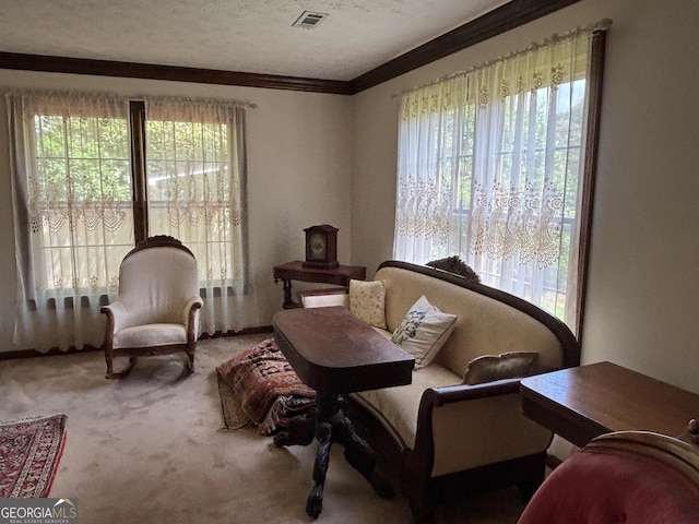 404 Windsor Way, Peachtree City, GA 30269 - sitting room featuring plenty of natural light, carpet, and crown molding