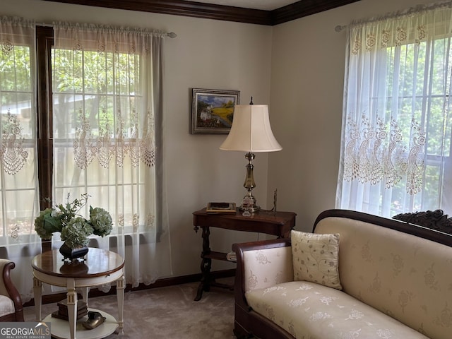 404 Windsor Way, Peachtree City, GA 30269 - living area with carpet flooring, ornamental molding, and baseboards