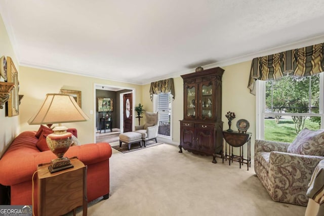 1487 W Bend Creek Ct, Atlanta, GA 30338 - carpeted living room with plenty of natural light and ornamental molding