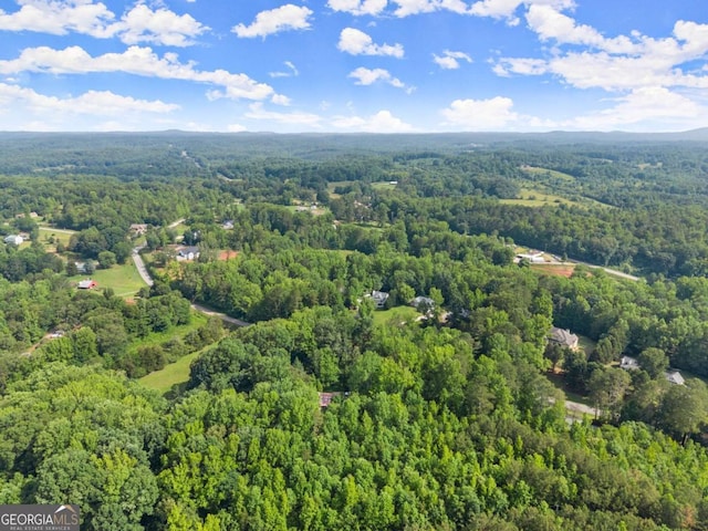 0 Glenn Burtz, Murrayville, GA 30564