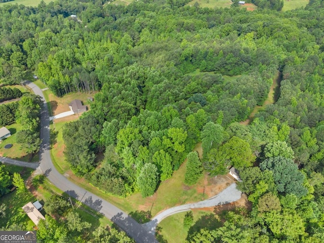 0 Glenn Burtz, Murrayville, GA 30564