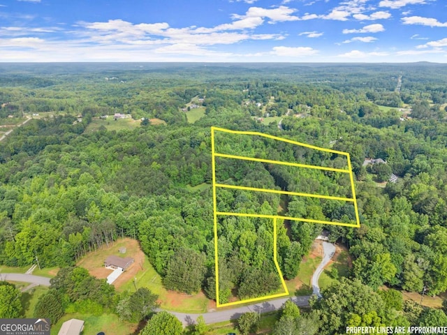 0 Glenn Burtz, Murrayville, GA 30564