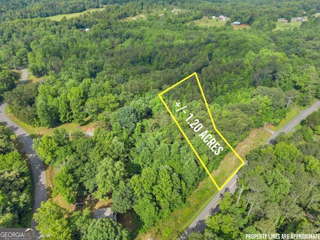 0 Glenn Burtz, Murrayville, GA 30564
