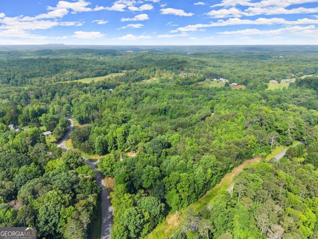 0 Glenn Burtz, Murrayville, GA 30564