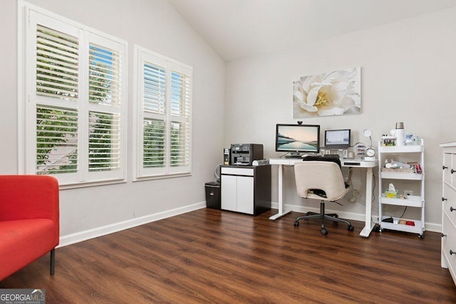 6115 Stella Light Dr, Flowery Branch, GA 30542 - office space featuring vaulted ceiling, wood finished floors, and baseboards