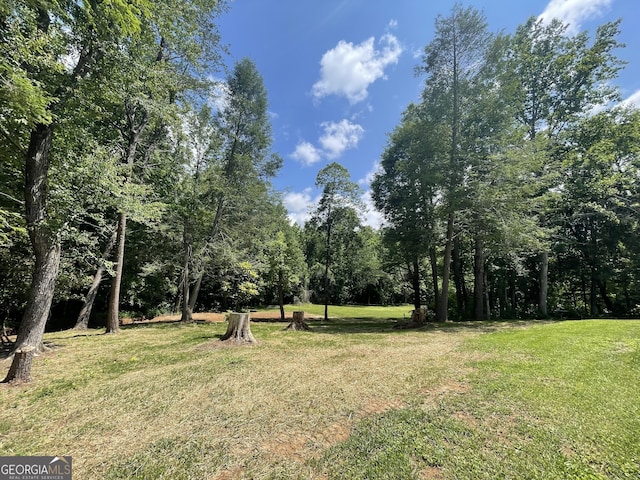 424 Harkins Rd, Cleveland, GA 30528 - view of grassy yard