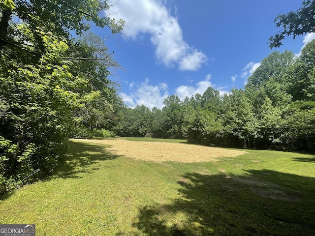 424 Harkins Rd, Cleveland, GA 30528 - view of grassy yard featuring a forest view