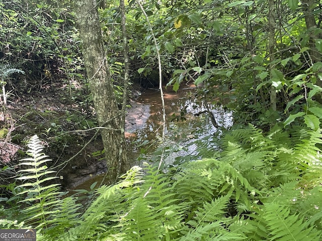 424 Harkins Rd, Cleveland, GA 30528 - view of undeveloped land