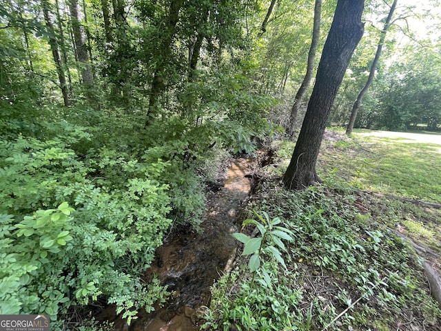 424 Harkins Rd, Cleveland, GA 30528 - view of tree filled area