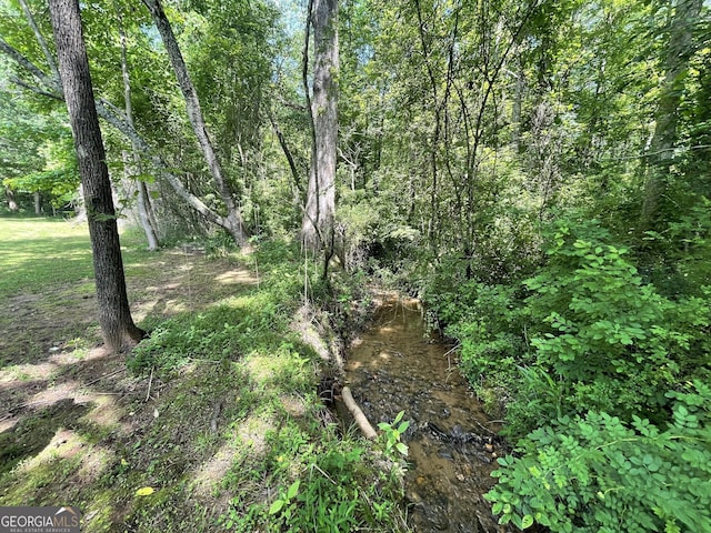 424 Harkins Rd, Cleveland, GA 30528 - view of local wilderness