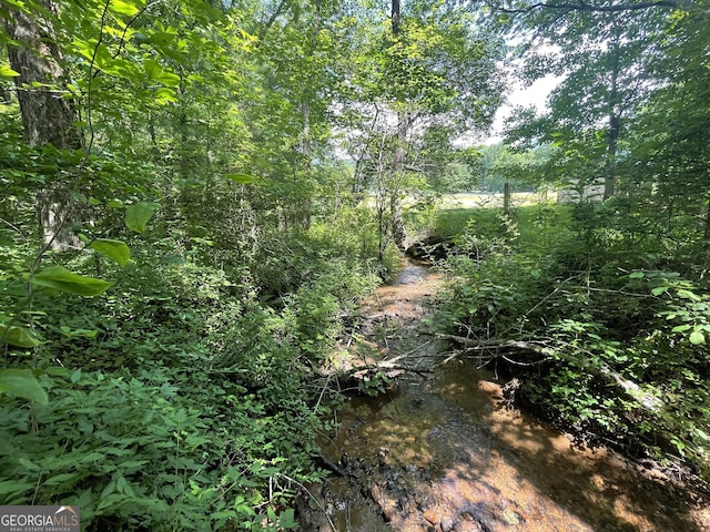 424 Harkins Rd, Cleveland, GA 30528 - view of undeveloped land