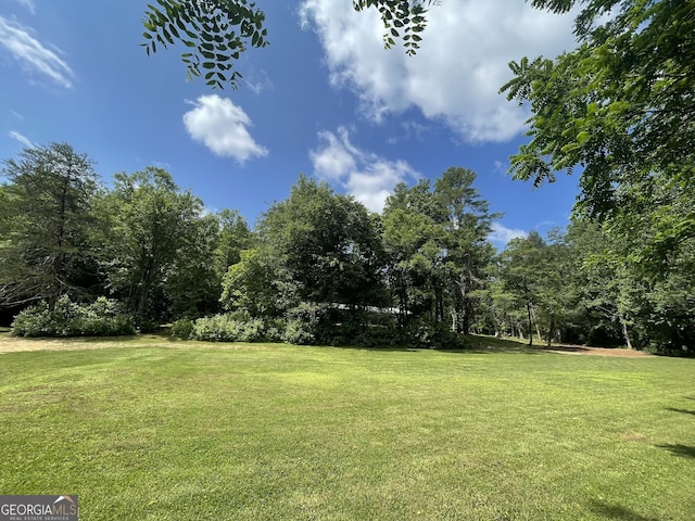 424 Harkins Rd, Cleveland, GA 30528 - view of grassy yard