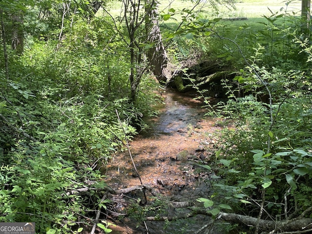 424 Harkins Rd, Cleveland, GA 30528 - view of nature