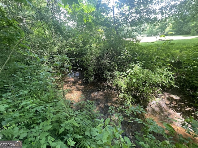 424 Harkins Rd, Cleveland, GA 30528 - view of local wilderness