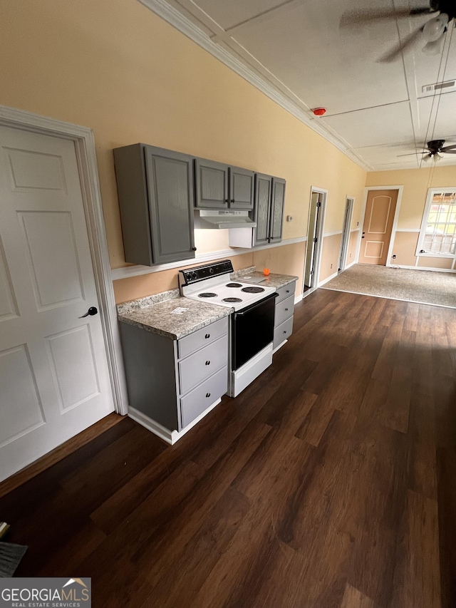 44 Freeman, Heflin, AL 36264 - kitchen featuring white electric stove, under cabinet range hood, gray cabinetry, ceiling fan, and dark wood-style floors