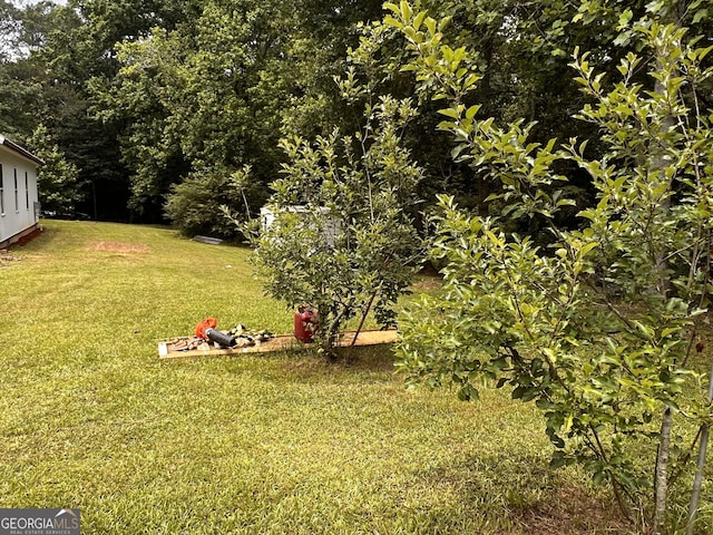 44 Freeman, Heflin, AL 36264 - view of green lawn
