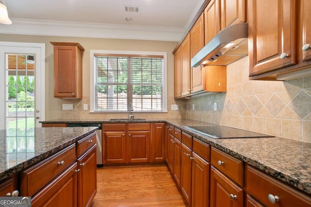 12194 Limeridge Ct, Alpharetta, GA 30004 - kitchen with under cabinet range hood, dark stone counters, light wood-style flooring, brown cabinets, and plenty of natural light