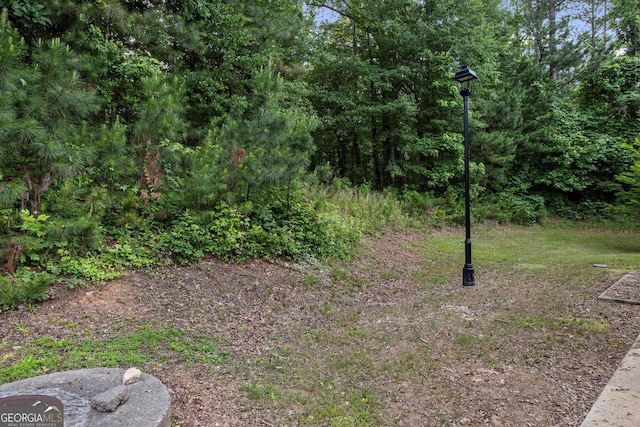 2137 Chadwick Rd SW, Atlanta, GA 30331 - view of yard